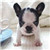 www.lyjyq.com