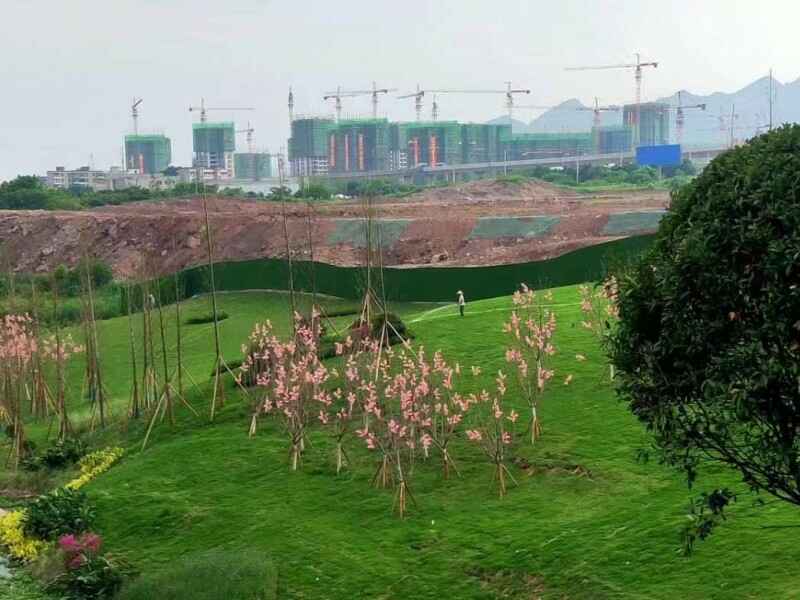 福建省种植青叶佛甲草时使用多少种子，种植后可以防水吗