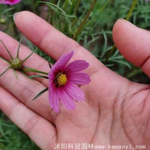 微信图片_20230527161755[1].jpg