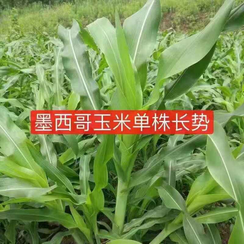 微信图片_20230527181453.jpg 微信图片_20230527181453.jpg