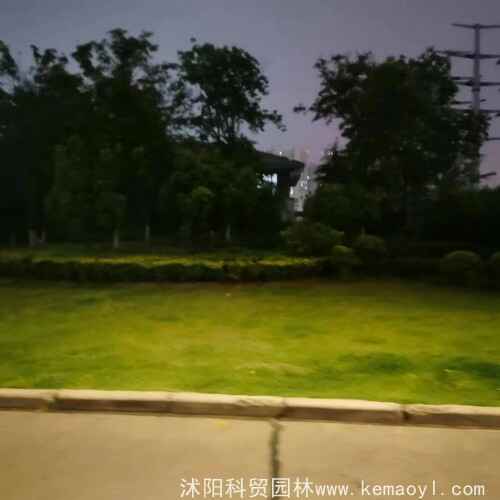 微信图片_20230630165108.jpg 微信图片_20230630165108.jpg