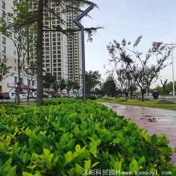 微信图片_20230802201333[1].jpg